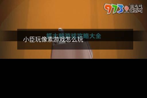 小臣玩像素游戏怎么玩